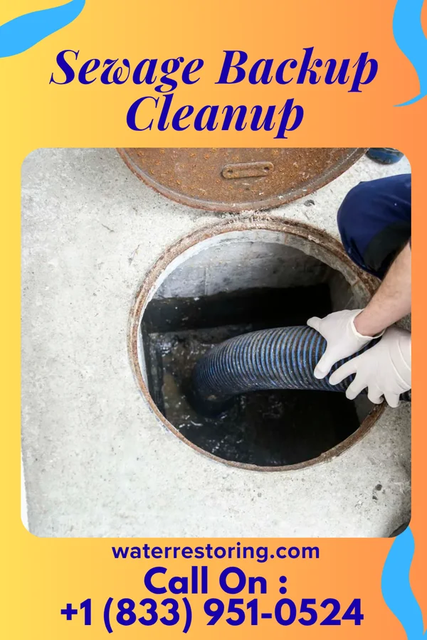 Sewage Backup Cleanup in Highland Park, FL