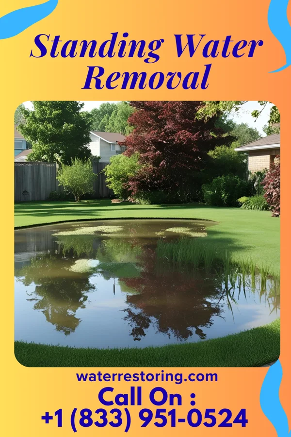 Standing Water Removal in Highland Park, FL